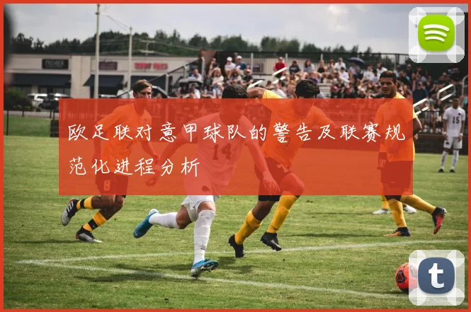 欧足联对意甲球队的警告及联赛规范化进程分析