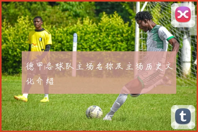 德甲各球队主场名称及主场历史文化介绍