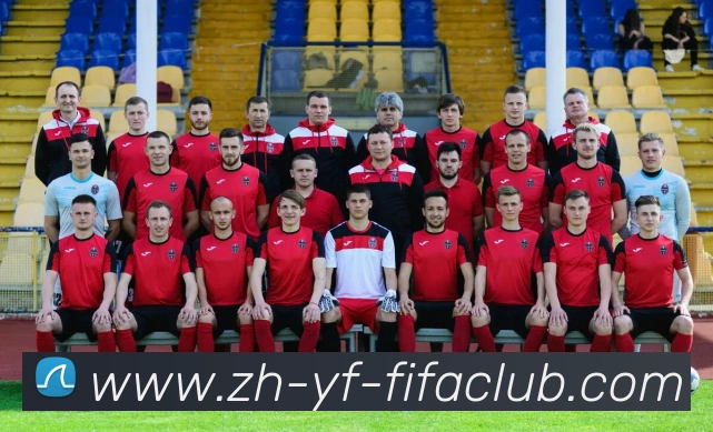 世界杯直播平台生态图